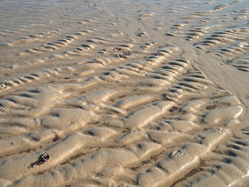 Eco-Friendly Textiles